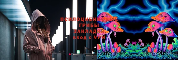 apvp Алексин
