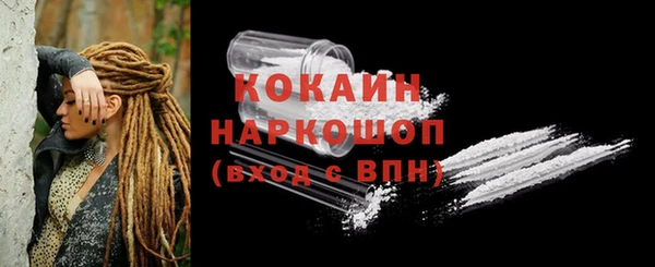альфа пвп Новодвинск