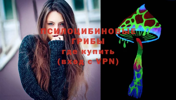 молекула духа Алзамай