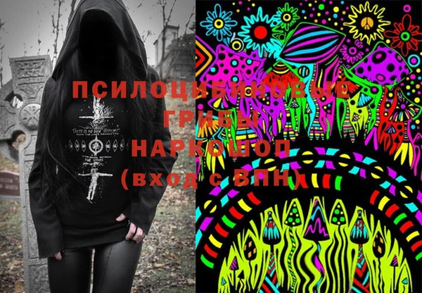 apvp Алексин