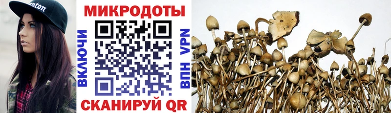 где купить наркоту  Котлас  Псилоцибиновые грибы MAGIC MUSHROOMS 